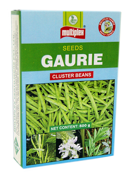 uploads/images/prod/Gaurie - Cluster Beans.png